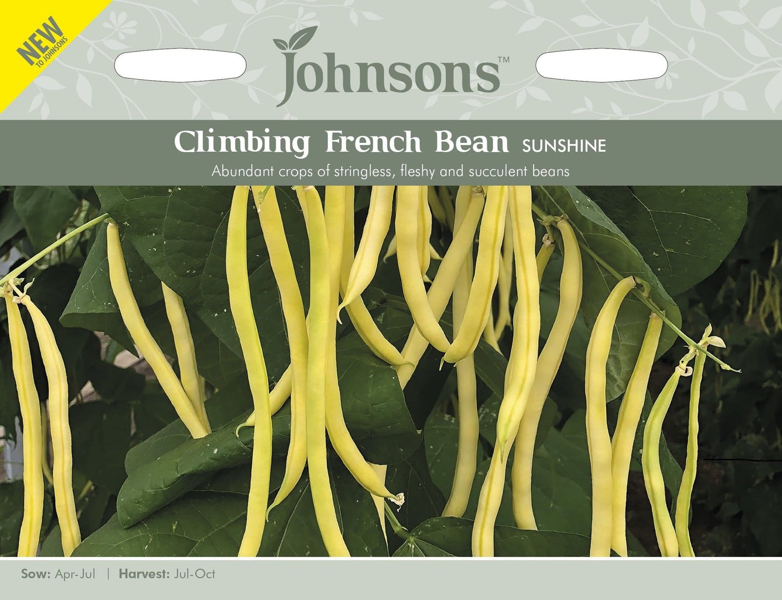Johnsons Seeds Climbing French Bean Sunshine 50 Seeds