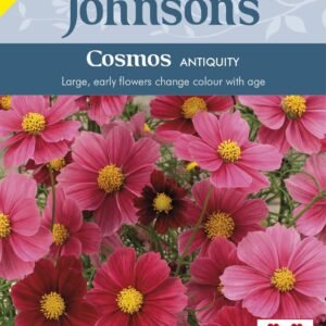 Johnsons Seeds Cosmos Antiquity 20 Seeds