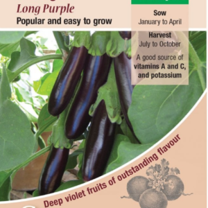 Kings Seeds Aubergine Long Purple 180 Seeds