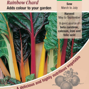 Kings Seeds Beet Leaf Rainbow Chard 125 Seeds