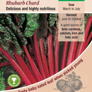 Kings Seeds Beet Leaf Rhubarb Chard 100 Seeds