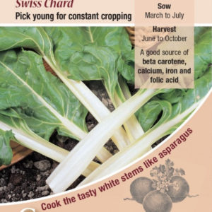 Kings Seeds Beet Leaf Swiss Chard 250 Seeds