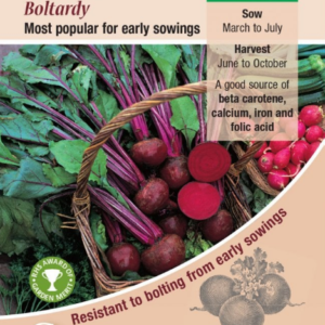 Kings Seeds Beetroot Boltardy 275 Seeds
