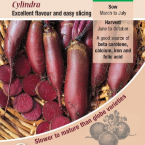 Kings Seeds Beetroot Cylindra 275 Seeds
