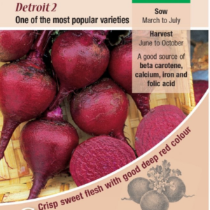 Kings Seeds Beetroot Detroit 2 - 275 Seeds