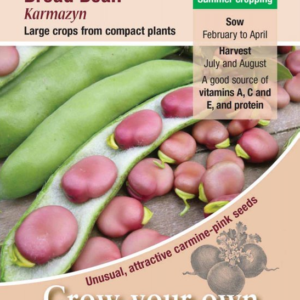 Kings Seeds Broad Bean Bunyards Exhibition 50 Seeds