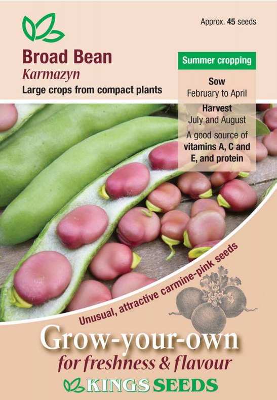 Kings Seeds Broad Bean Bunyards Exhibition 50 Seeds