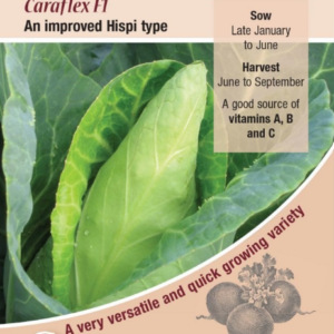 Kings Seeds Cabbage Caraflex F1 - 50 Seeds
