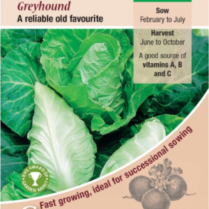 Kings Seeds Cabbage Greyhound 500 Seeds