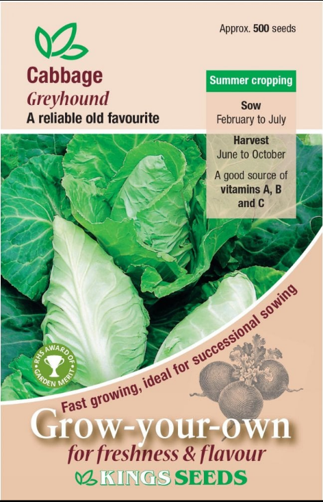 Kings Seeds Cabbage Greyhound 500 Seeds
