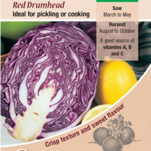 Kings Seeds Cabbage Red Drumhead 500 Seeds