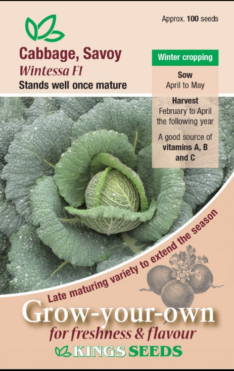 Kings Seeds Cabbage Savoy Wintessa F1 - 100 Seeds