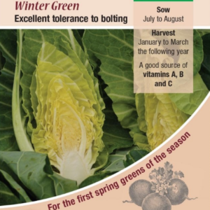 Kings Seeds Cabbage (Spring Greens) Winter Green Seeds