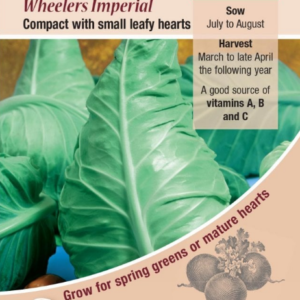 Kings Seeds Cabbage Wheelers Imperial 450 Seeds
