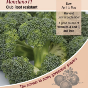 Kings Seeds Calabrese Monclano F1 30 Seeds