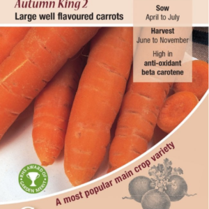 Kings Seeds Carrot Autumn King 2000 Seeds