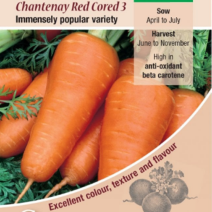 Kings Seeds Carrot Chantenay Red Cored 3 - 2000 Seeds
