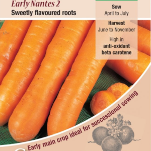 Kings Seeds Carrot Early Nantes 2000 Seeds