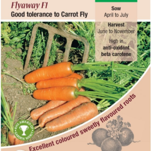 Kings Seeds Carrot Flyaway F1 Hybrid 500 Seeds