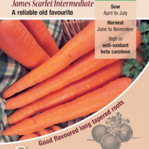 Kings Seeds Carrot James Scarlet Intermediate Seeds