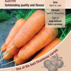Kings Seeds Carrot Katrin 3000 Seeds