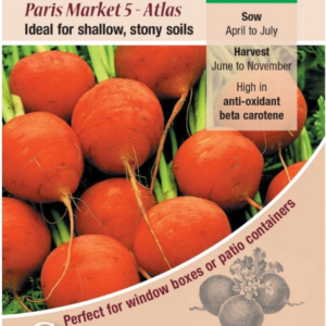 Kings Seeds Carrot Paris Market 5 Atlas 750 Seeds