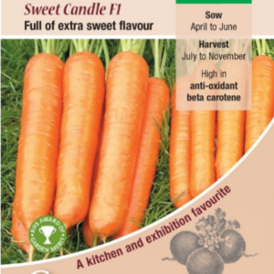 Kings Seeds Carrot Sweet Candle 300 Seeds