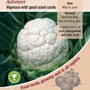 Kings Seeds Cauliflower Aalsmeer 95 Seeds
