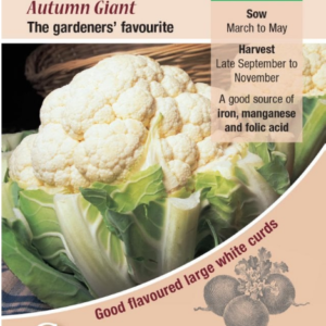Kings Seeds Cauliflower Autumn Giant 225 Seeds