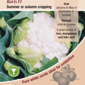 Kings Seeds Cauliflower Boris F1 - 25 Seeds
