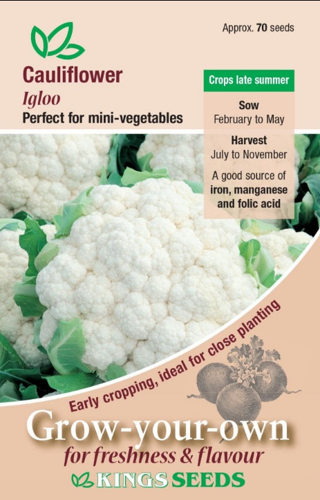 Kings Seeds Cauliflower Igloo 70 Seeds