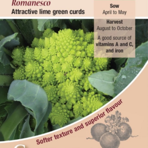 Kings Seeds Cauliflower Romanesco 500 Seeds