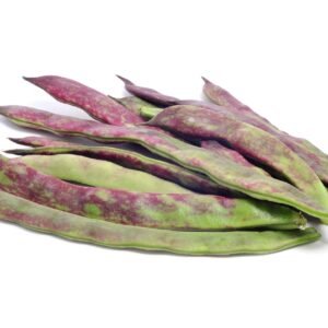 Kings Seeds Climbing French Bean - Barlotta Lingua di Fuoco Seeds