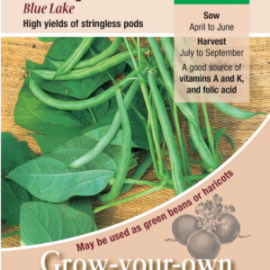 Kings Seeds Climbing French Bean Blue Lake 125 Seeds