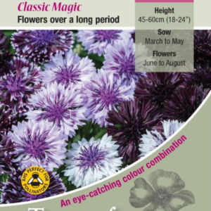 Kings Seeds Cornflower Classic Romantic 100 Seeds