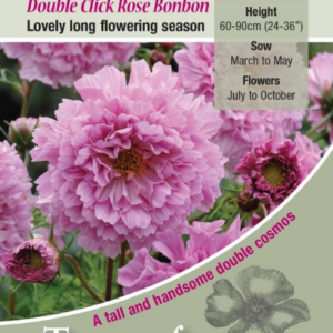 Kings Seeds Cosmos Double Click Rose Bonbon 75 Seeds