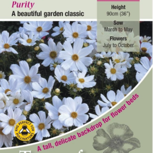 Kings Seeds Cosmos Purity 100 Seeds