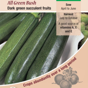 Kings Seeds Courgette All Green Bush 25 Seeds
