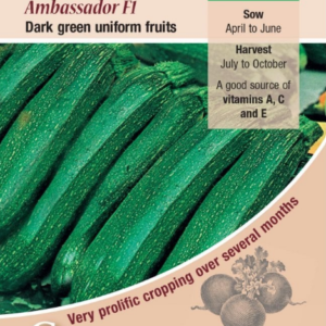 Kings Seeds Courgette Ambassador F1 Hybrid 25 Seeds