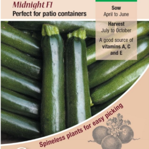 Kings Seeds Courgette Midnight F1 Hybrid 5 Seeds