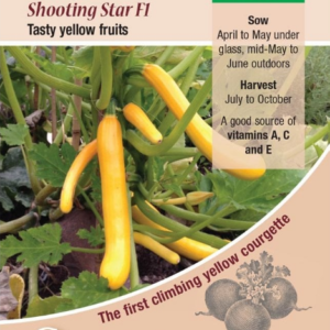 Kings Seeds Courgette Shooting Star F1 - 10 Seeds