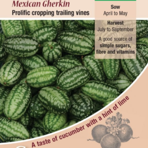 Kings Seeds Cucamelon 20 Seeds