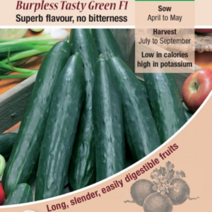 Kings Seeds Cucumber Burpless Tasty Green 20 Seeds