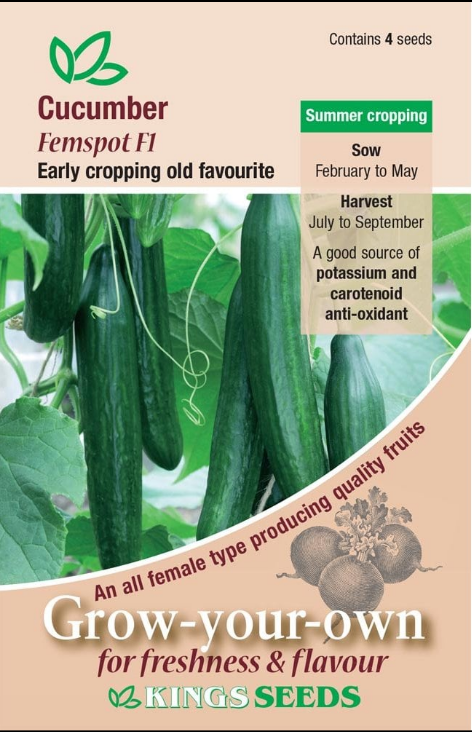 Kings Seeds Cucumber Femspot F1 Hybrid 4 Seeds
