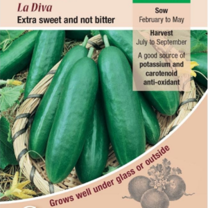 Kings Seeds Cucumber La Diva 25 Seeds