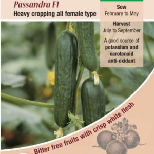 Kings Seeds Cucumber Passandra F1 Hybrid 4 Seeds