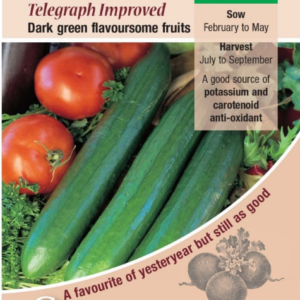 Kings Seeds Cucumber Telegraph Improved 15 Seeds