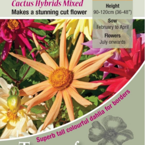 Kings Seeds Dahlia Cactus Hybrids Mixed 50 Seed