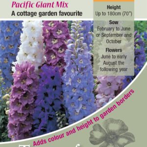 Kings Seeds Delphinium Pacific Mixed Seeds
