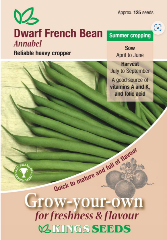 Kings Seeds Dwarf French Bean Annabel 125 Seeds